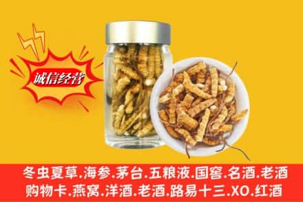 恩施州巴东县回收散虫草