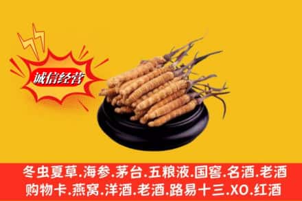 恩施州巴东县求购回收虫草多少钱每克